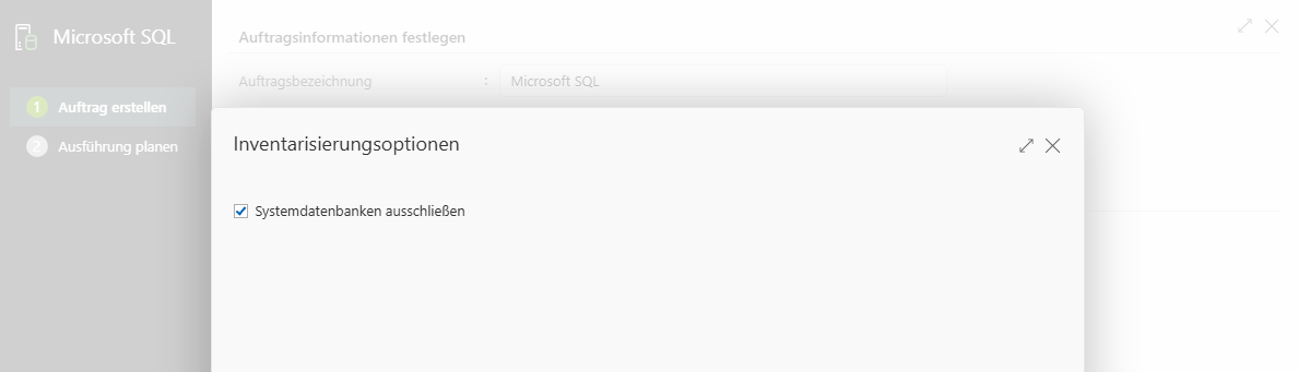 Inventarisierungsoptionen für Microsoft-SQL-Server